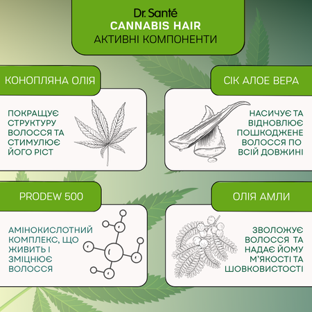 Набір Інтенсивне відновлення волосся Dr.Sante Cannabis Hair