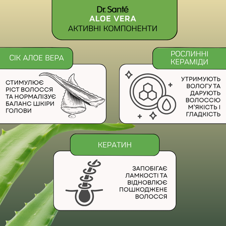 Набір Реконструкція волосся Dr.Sante Aloe Vera 