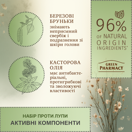 Набір для волосся Березові бруньки та касторова олія проти лупи Green Pharmacy Набір для волосся Березові бруньки та касторова олія проти лупи Green Pharmacy