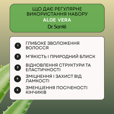 Набір Реконструкція волосся Dr.Sante Aloe Vera  Набір Реконструкція волосся Dr.Sante Aloe Vera