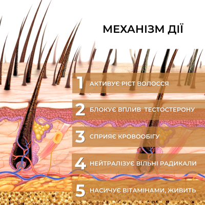 5901845500203_UA_pr_period_PL_3