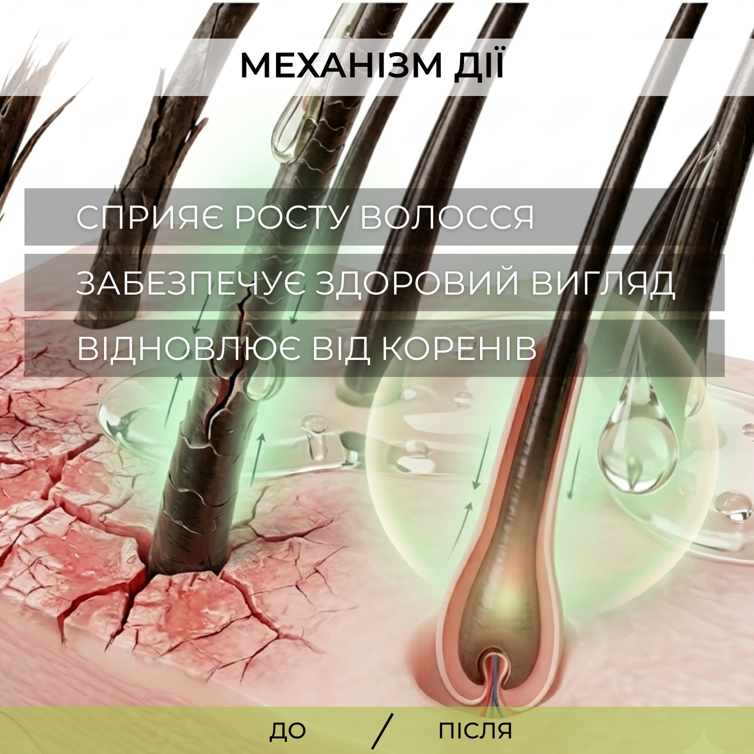 Масло для волосся 7в1 Elfa Pharm 7 масел 100 мл
