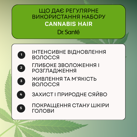 Набір Інтенсивне відновлення волосся Dr.Sante Cannabis Hair Набір Інтенсивне відновлення волосся Dr.Sante Cannabis Hair