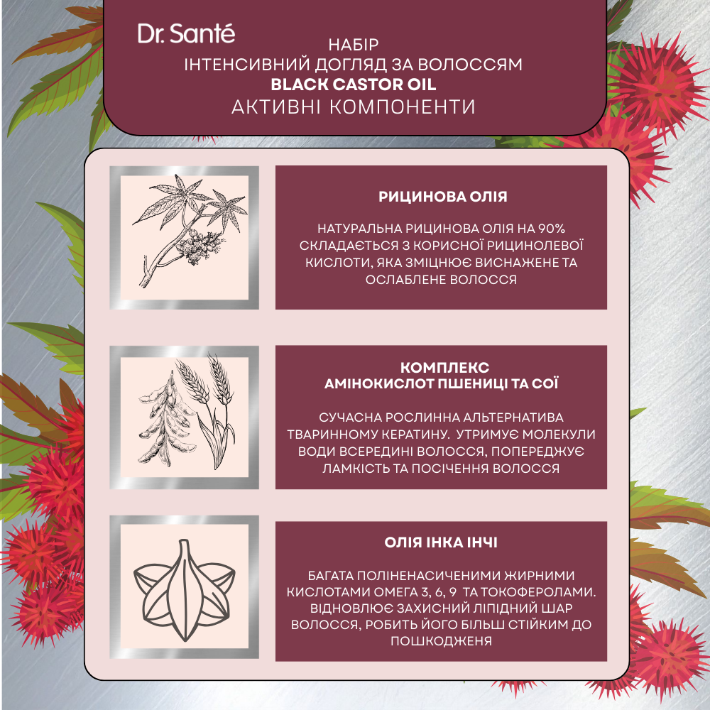 Набір Інтенсивний догляд за волоссям Dr.Sante Black Castor Oil 