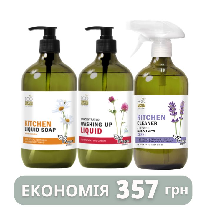 Набір для прибирання кухні EcoPlant For Home 
