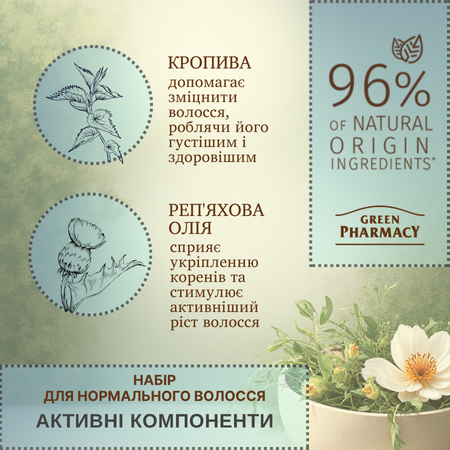 Набір для нормального волосся Кропива та реп'яхова олія Green Pharmacy Набір для нормального волосся Кропива та реп'яхова олія Green Pharmacy