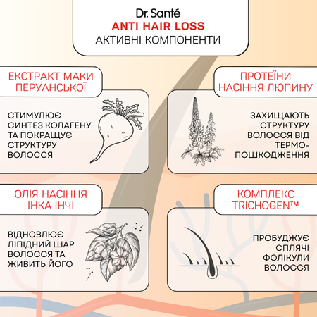  Набір Стимуляція росту волосся Dr.Sante Anti Hair Loss