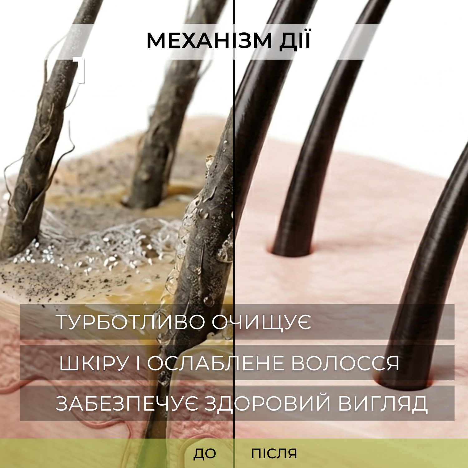 Шампунь Elfa Pharm 7 олій 7в1 200 мл