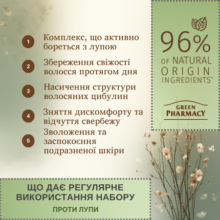 Набір для волосся Березові бруньки та касторова олія проти лупи Green Pharmacy