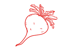 мака перуанська.png