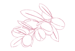 argan1gp.png