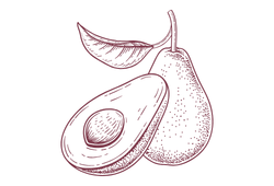 avocadik.png