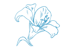 blueiris.png
