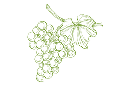 vino113.png