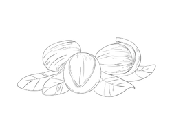 shicara.png shicara.png