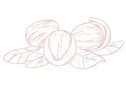 масло ши.png масло ши.png