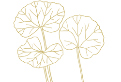 cikabrownnw.png cikabrownnw.png