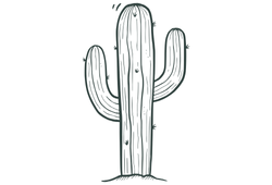 iconcactus.png