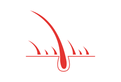 Комплекс Trichogen™.png