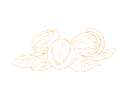 shicarayel.png shicarayel.png