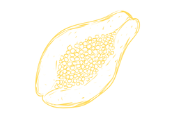 expapai.png expapai.png