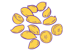 murumuru.png
