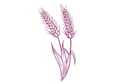 wheat.png
