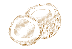 Cocobrown.png