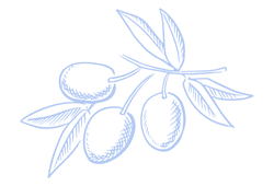 oliveoilblue.png oliveoilblue.png