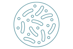 prebioticbl.png prebioticbl.png