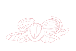shipink.png