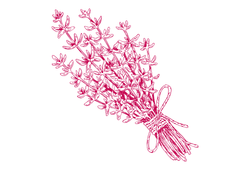 chebrec.png