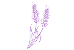 proteiniviol.png