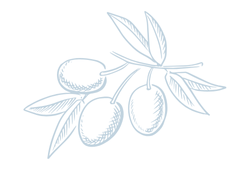 olivebabe.png olivebabe.png