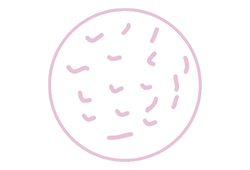 exopink.png exopink.png