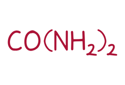 ureaformula0.png