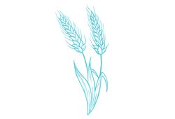 pshenobir.png pshenobir.png