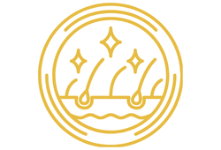 piroktondand.png piroktondand.png