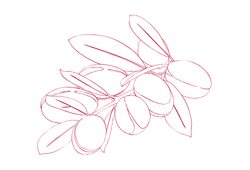 oilargan.png oilargan.png