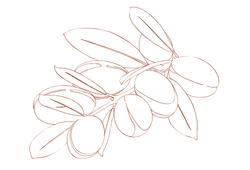 arganabr.png
