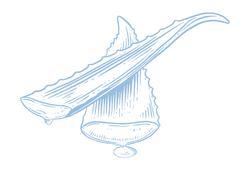 aloeblue.png aloeblue.png