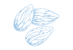 migdalblue.png