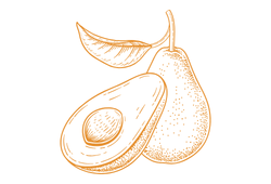 avokadoyel.png