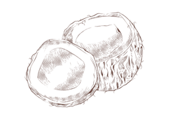cocosng.png