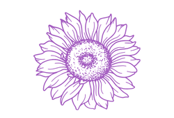 somyachnikviol.png somyachnikviol.png