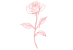 rose.png rose.png