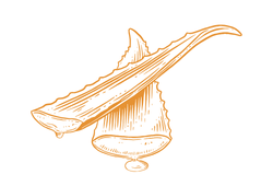 aloecara.png