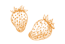 polunicayel.png