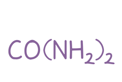 ureavionew.png