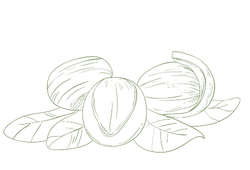 shigren.png